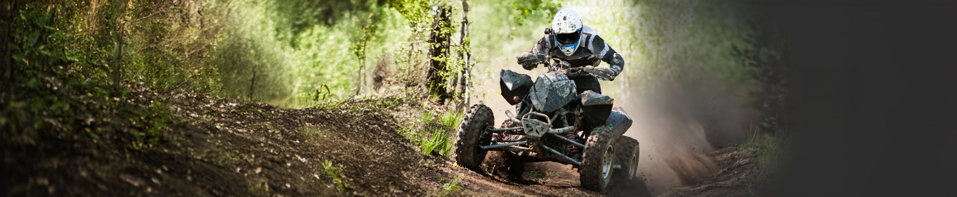 ATV Spark Plugs
