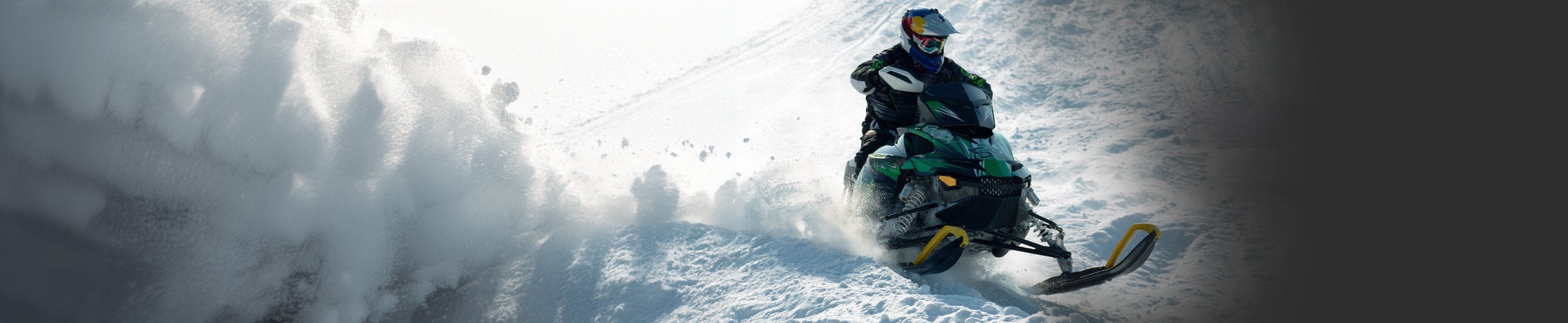 Snowmobile Spark Plugs